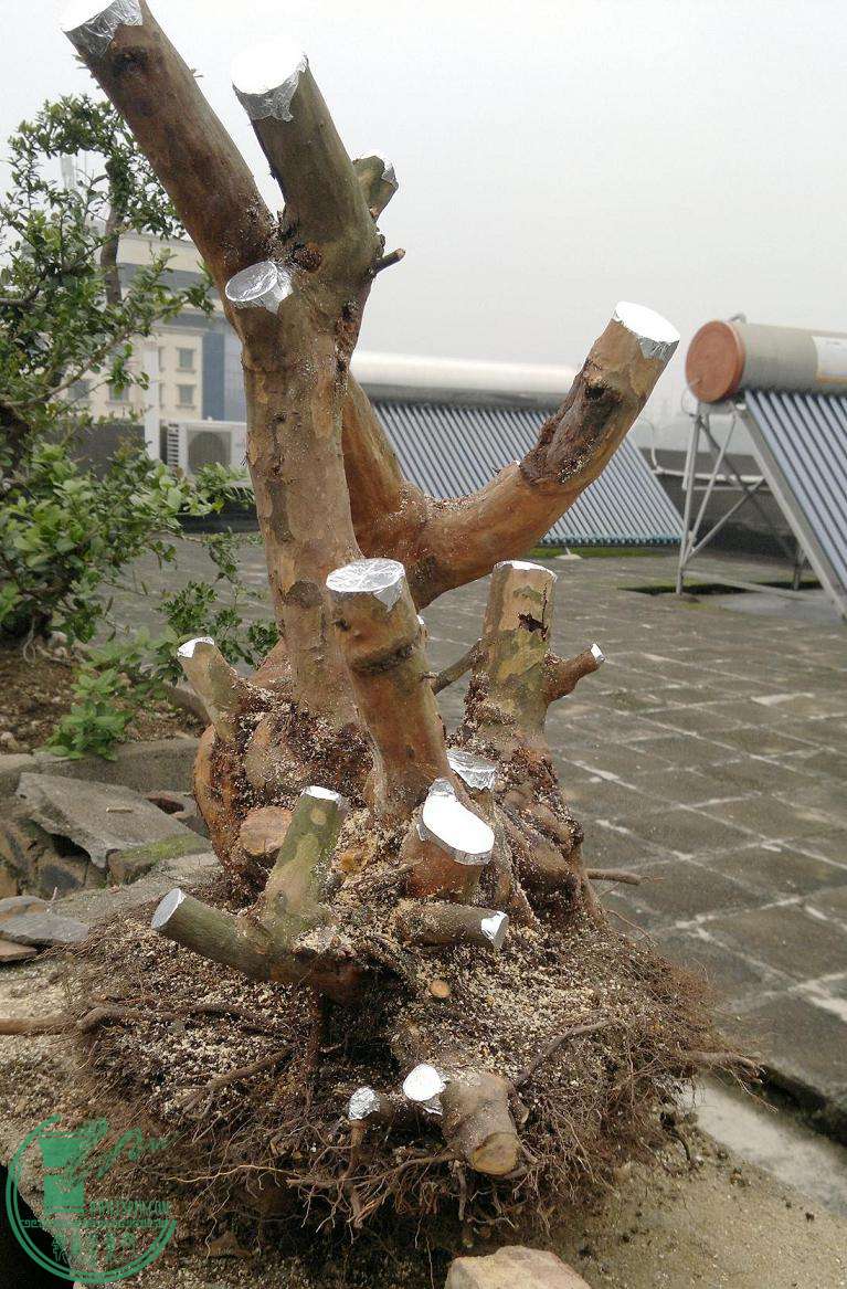 201503152393.jpg