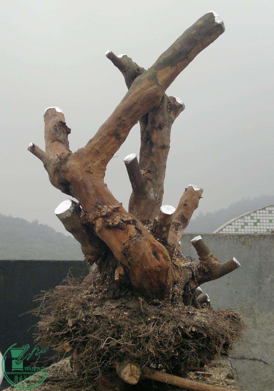 201503152394.jpg
