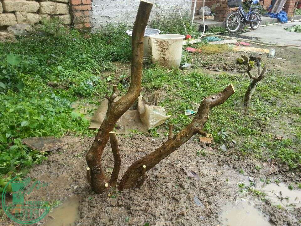 -66da3f3f68b60fb.jpg