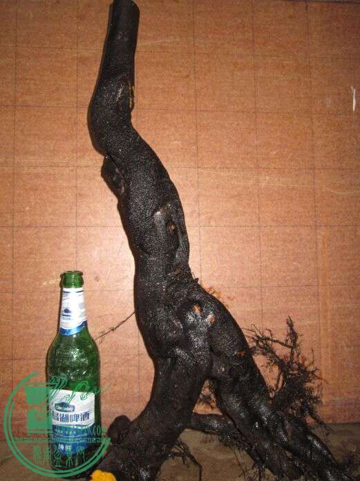 ѻ4.jpg