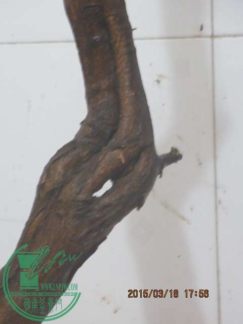 IMG_5774.JPG