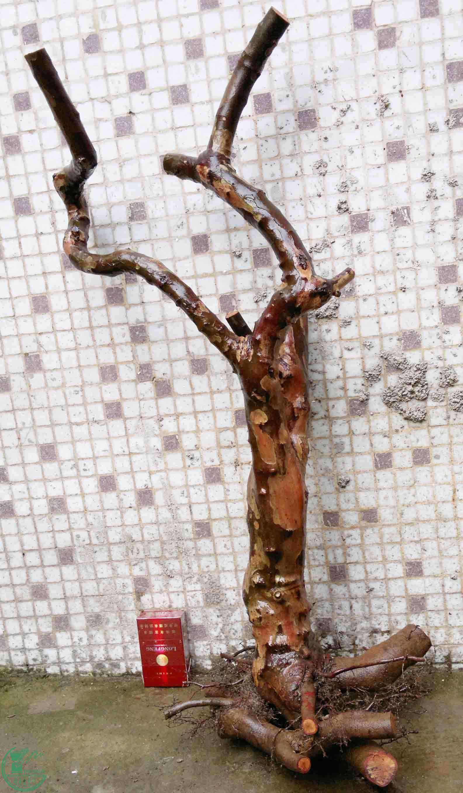 201102193502.jpg