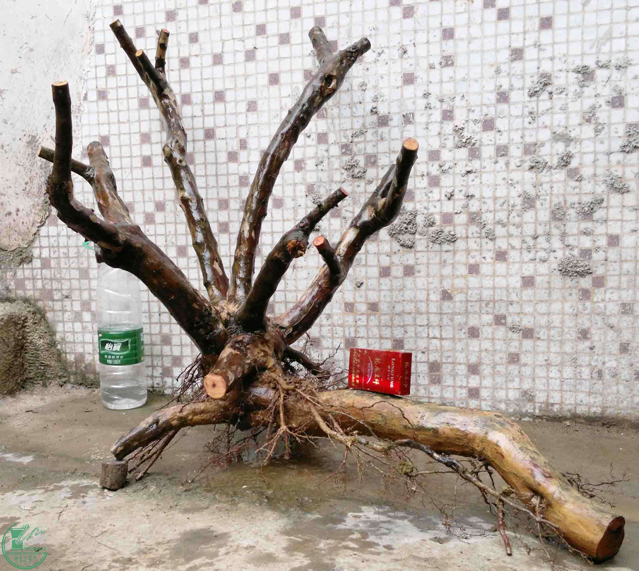 201102193539.jpg