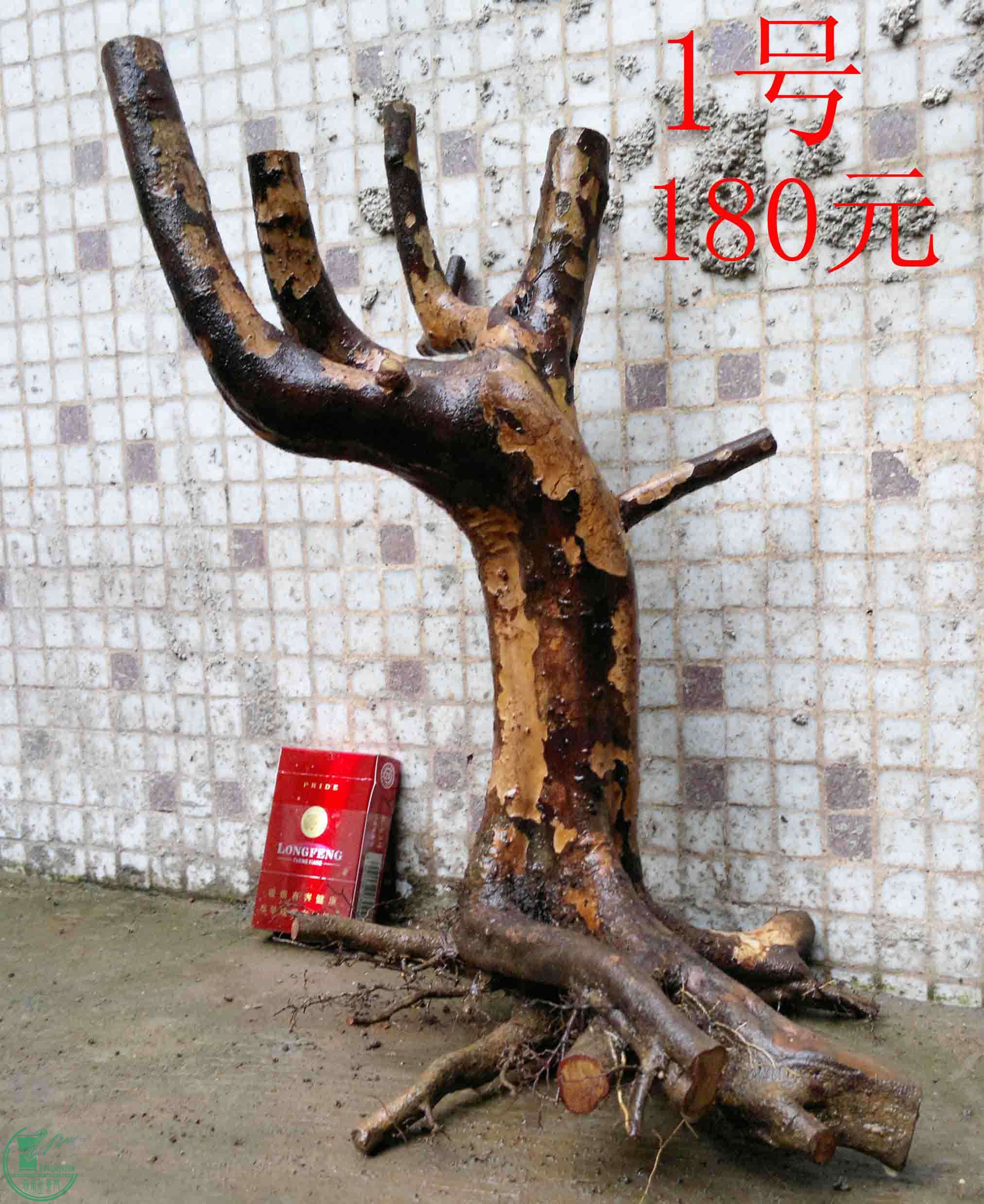 201102193479.jpg