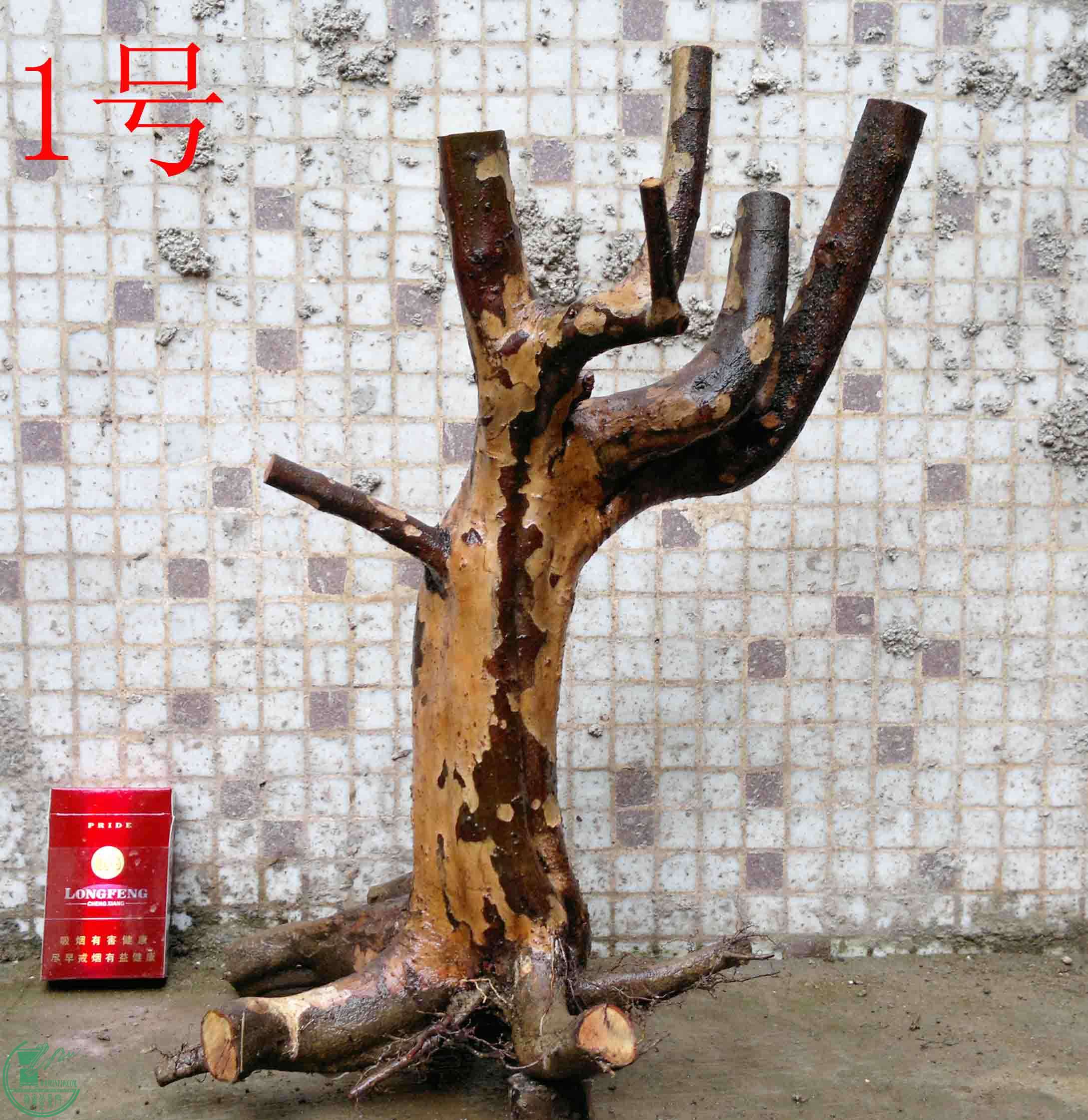 201102193485.jpg