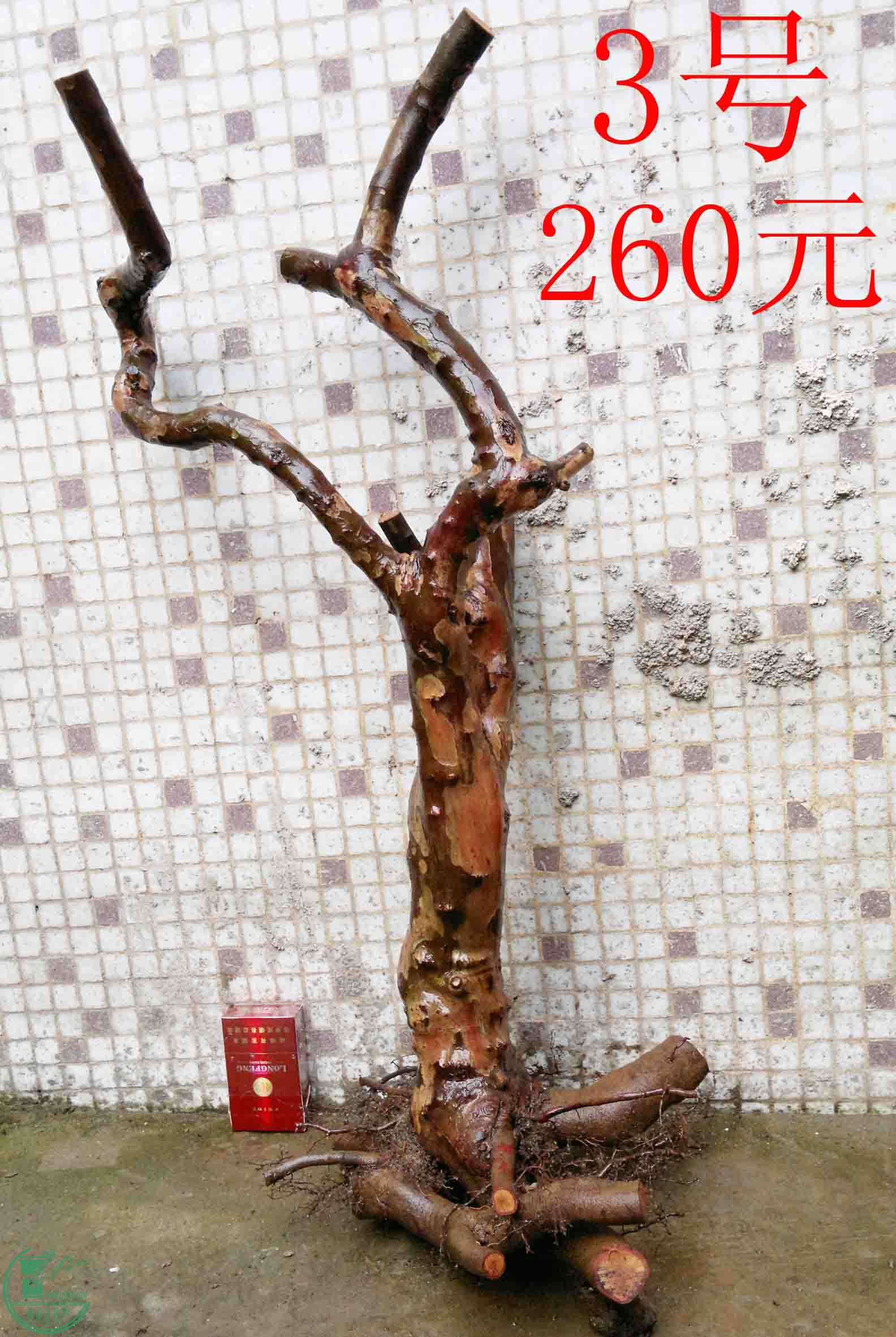 201102193502.jpg