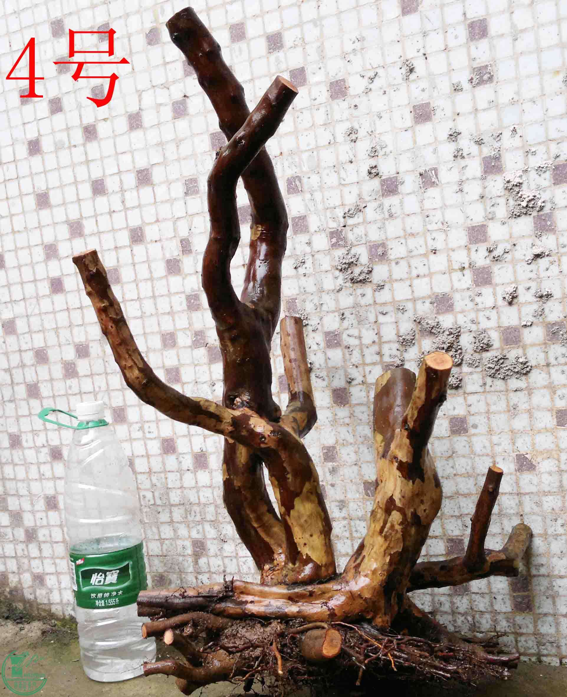 201102193529.jpg