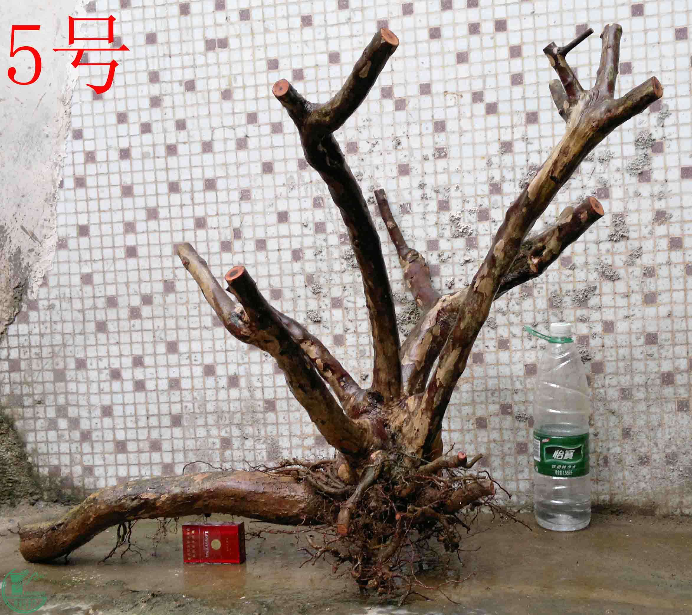 201102193558.jpg