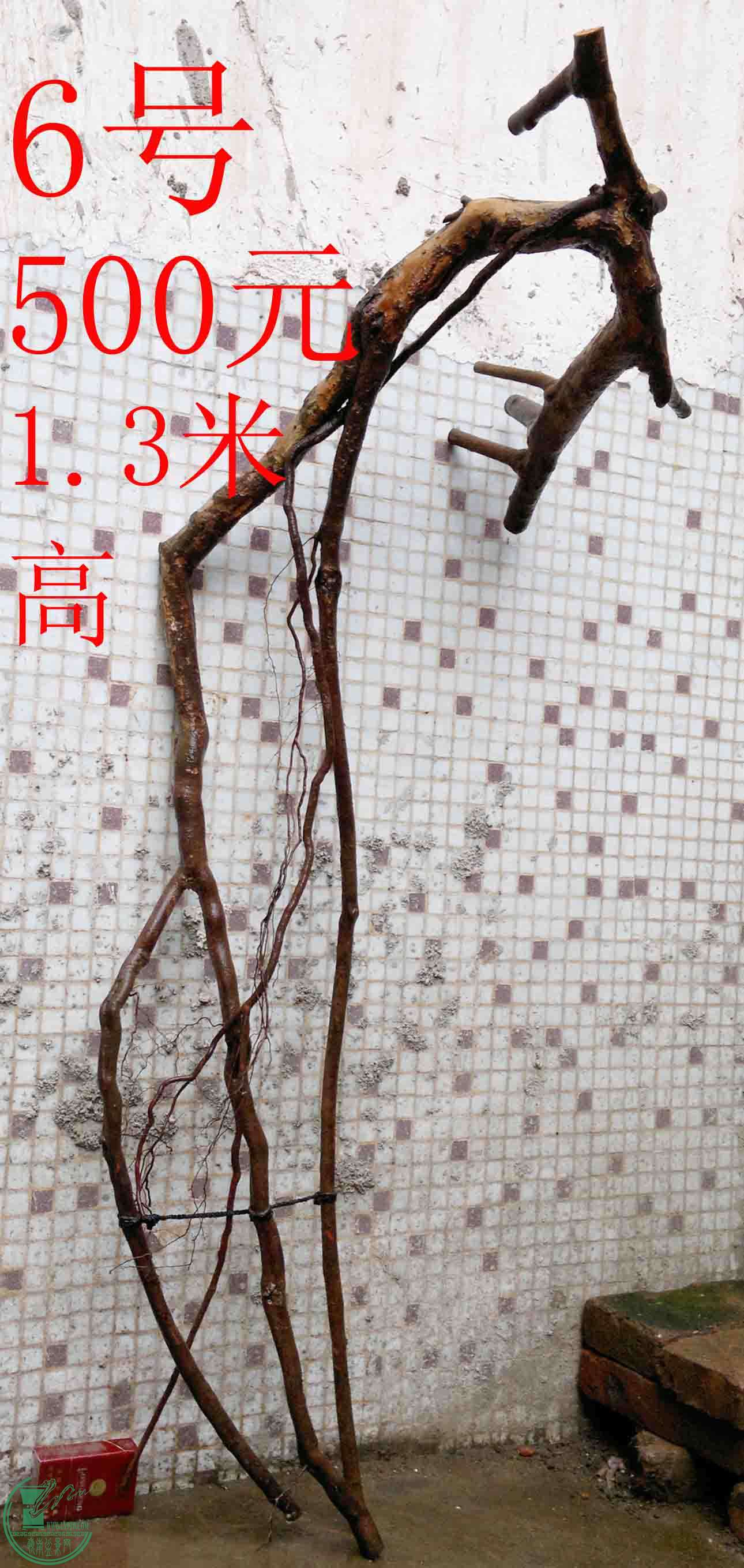 201102193566.jpg