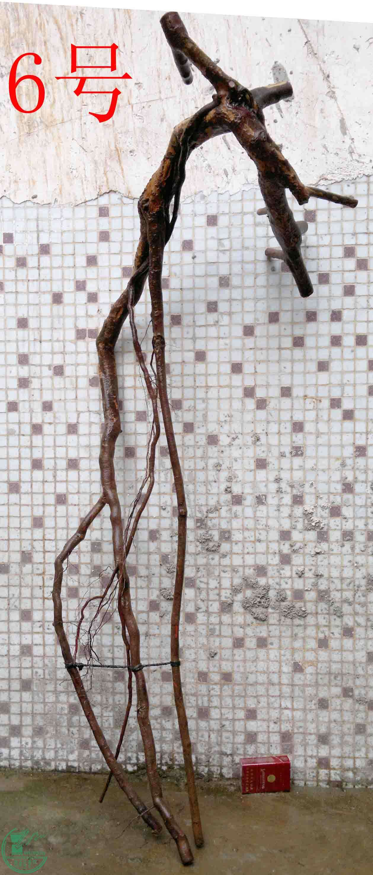 201102193580.jpg