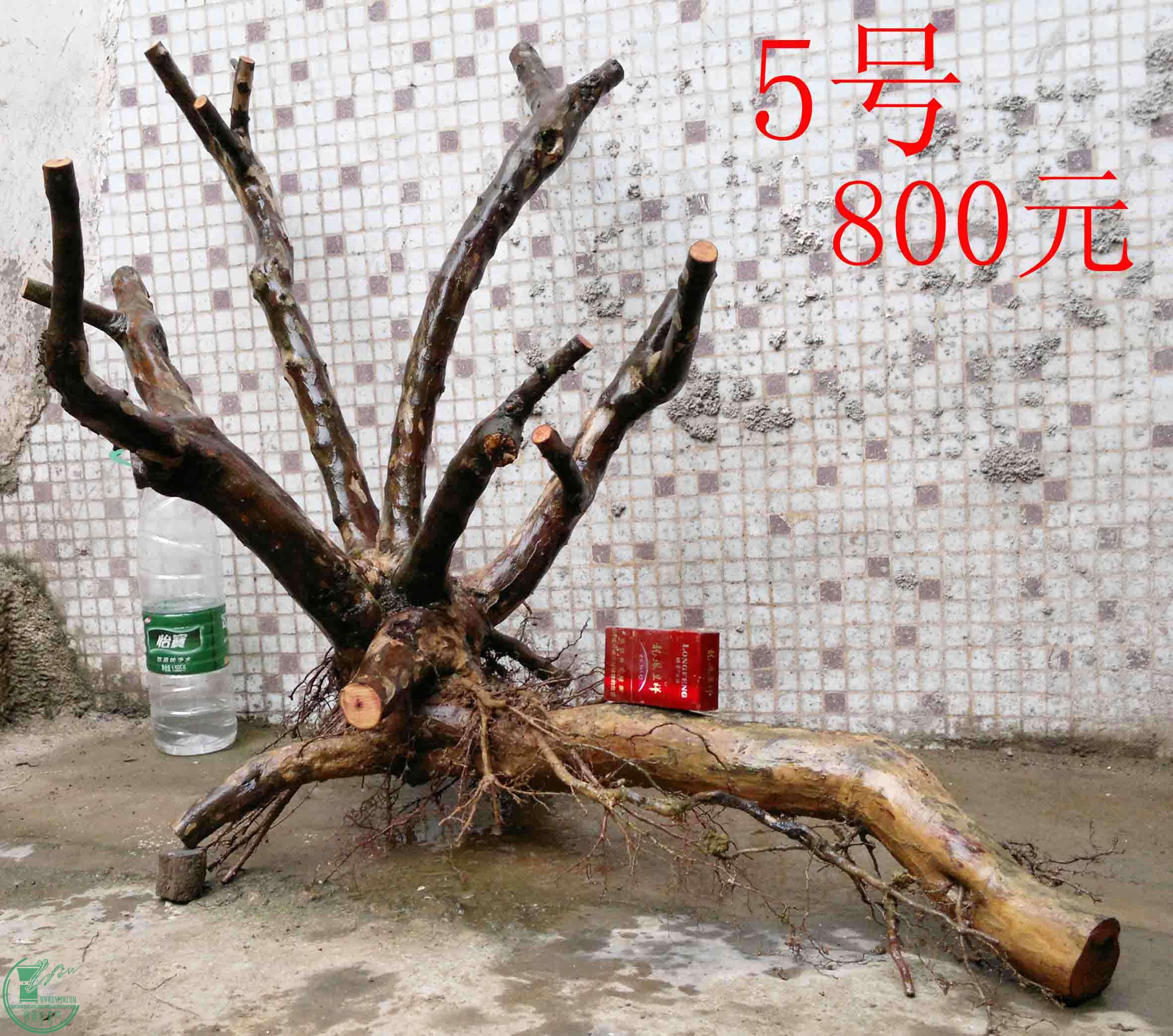 201102193539.jpg