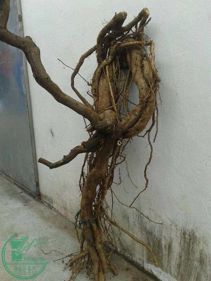 QQͼƬ20150319151409.jpg