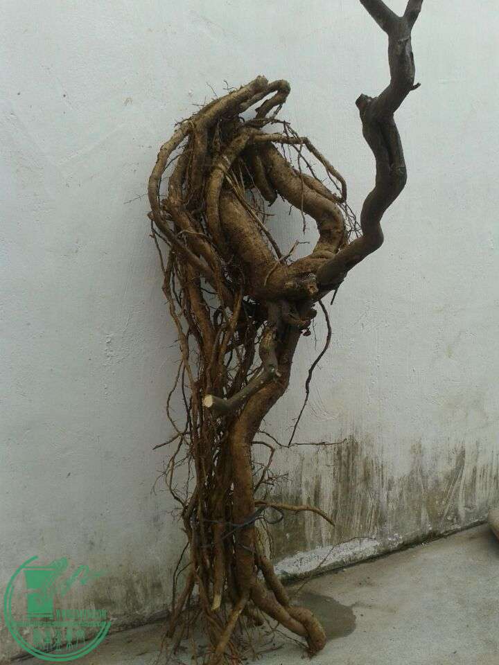 QQͼƬ20150319151413.jpg