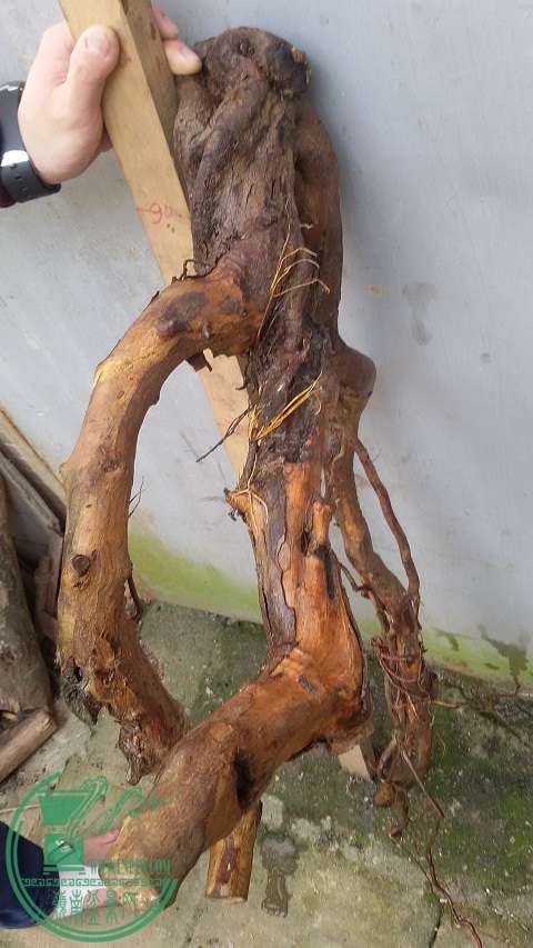 20150319_151500.jpg