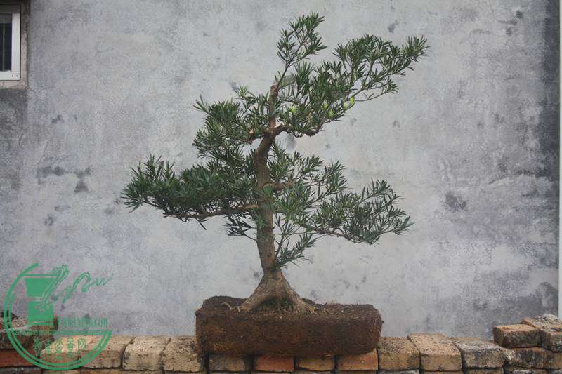 Ƭ20131026ۺ 2833.jpg