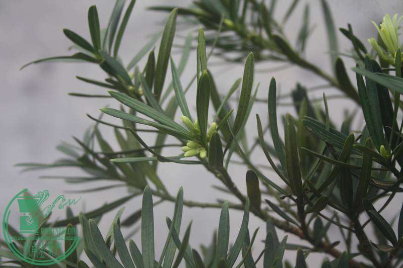 Ƭ20131026ۺ 2843.jpg