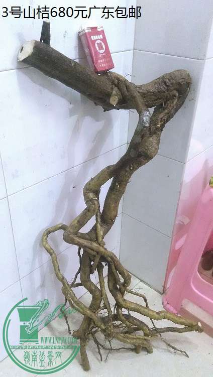 QQͼƬ20150320000550.jpg