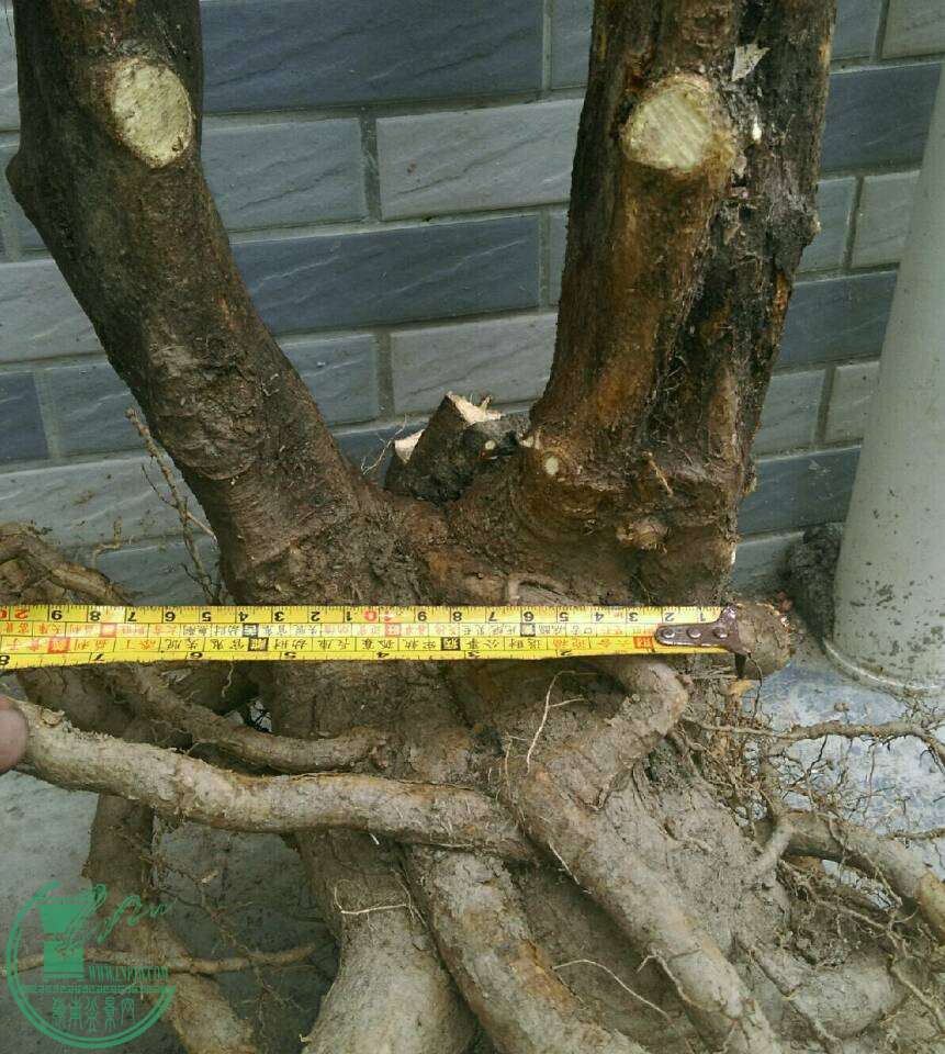 2c30fd287c17504f.jpg