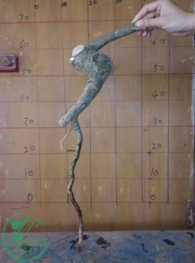 100