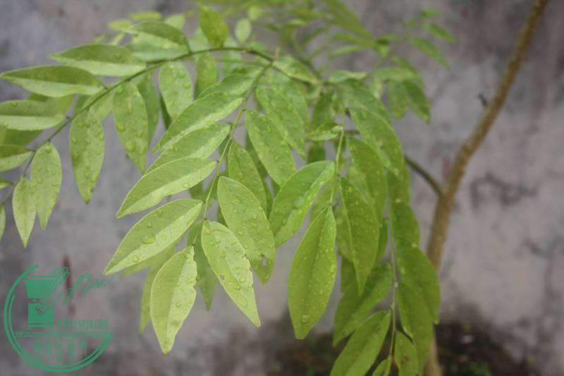 Ƭ20131026ۺ 2858.jpg