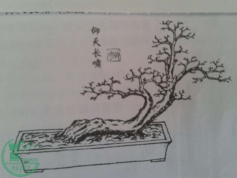 QQͼƬ20150320120622.jpg