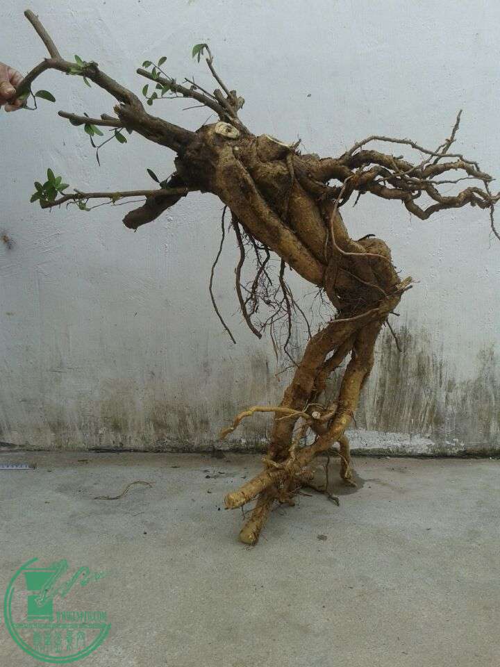 QQͼƬ20150319151357.jpg