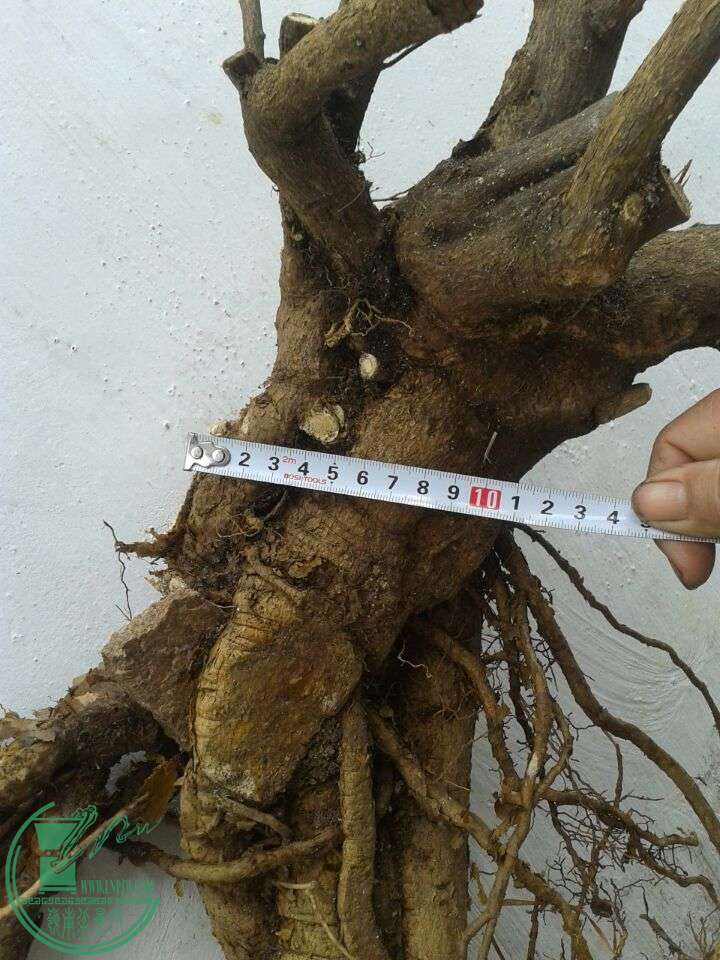 QQͼƬ20150319151401.jpg