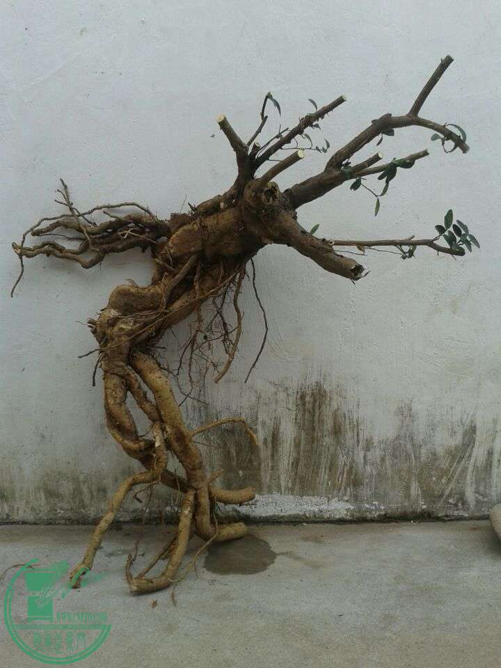 QQͼƬ20150319151406.jpg