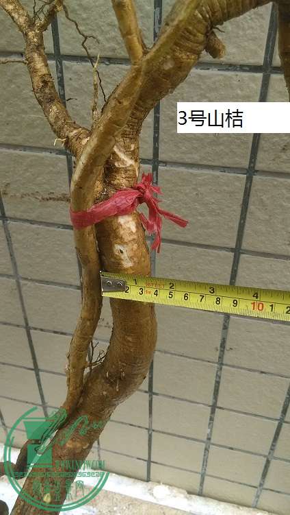 QQͼƬ20150321191322.jpg