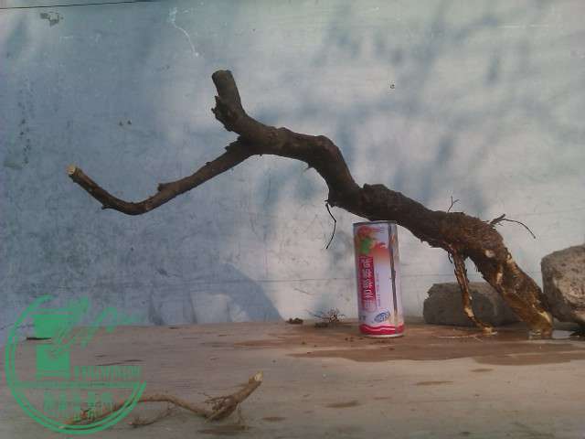IMAG0422.jpg