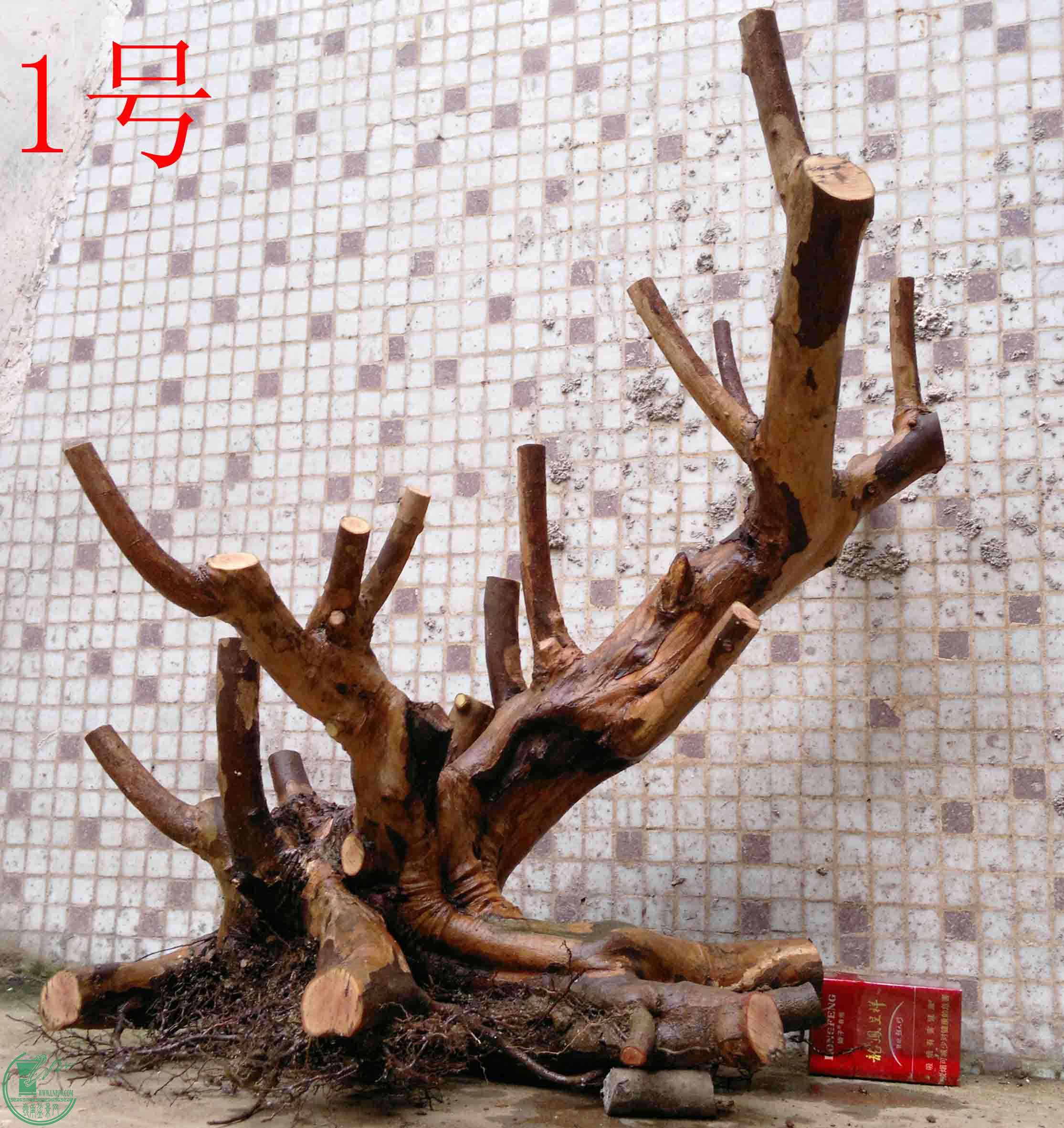 201503213721.jpg