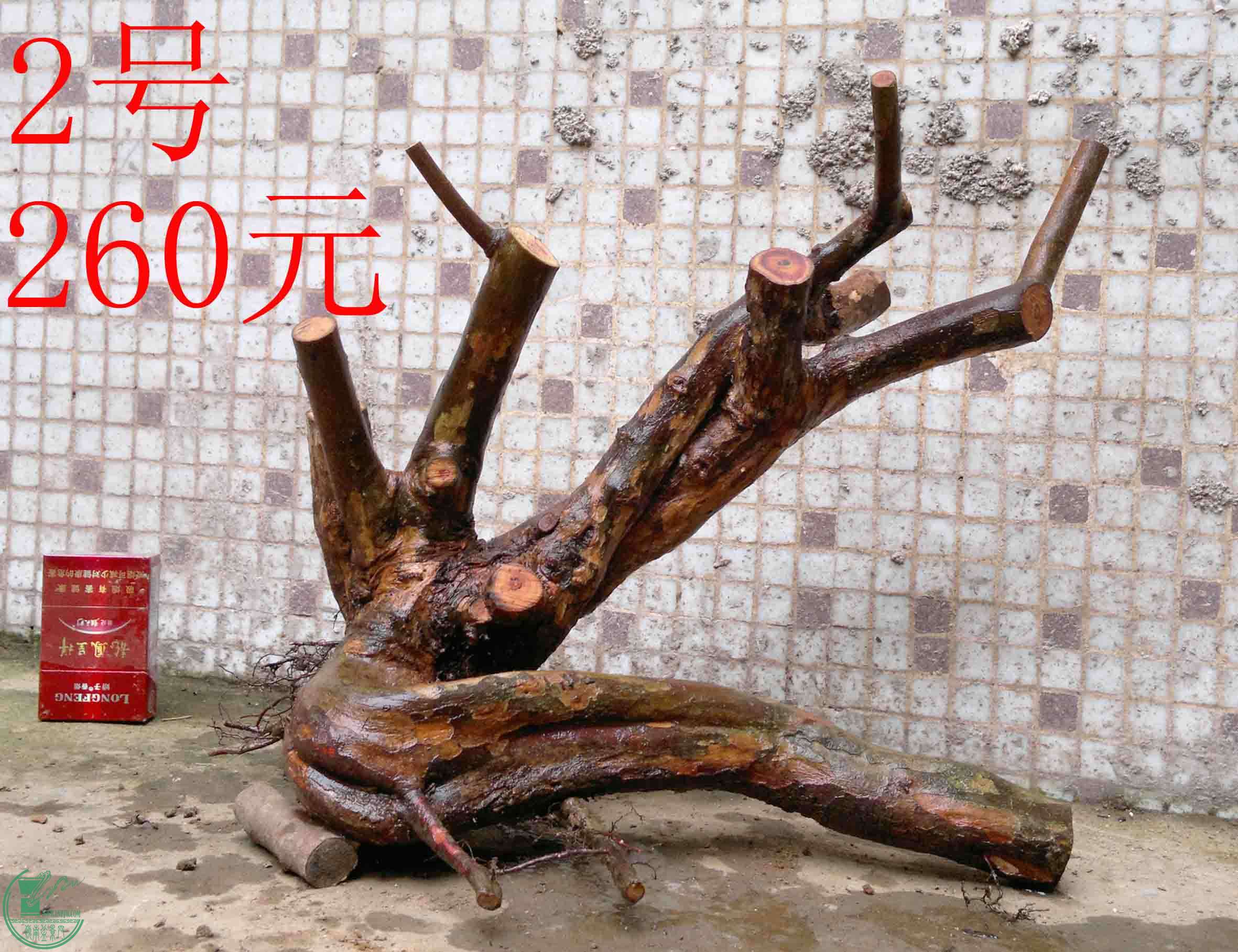 201503213734.jpg