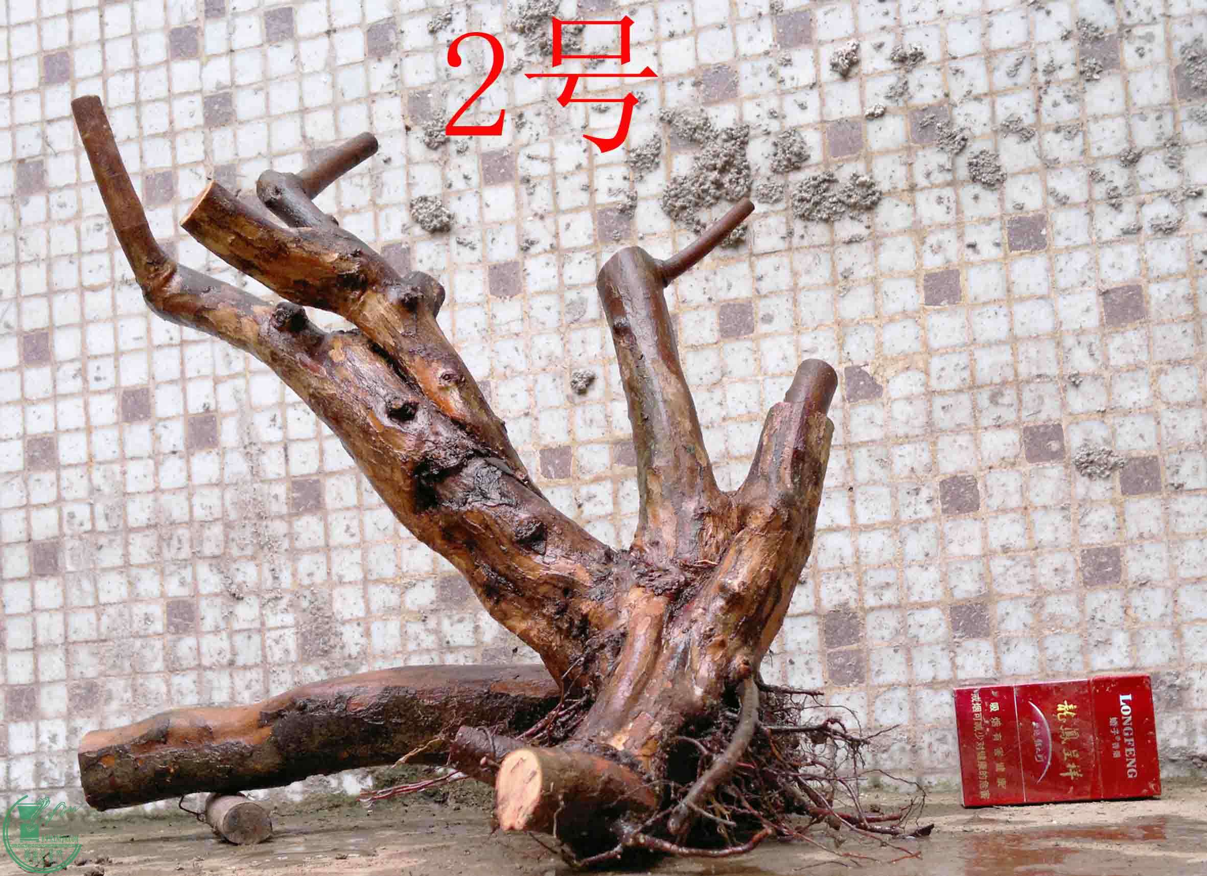 201503213739.jpg