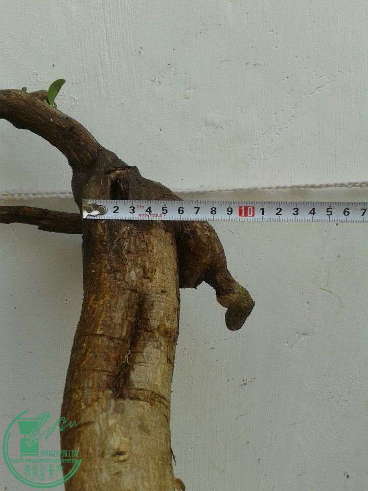 QQͼƬ20150322154254.jpg