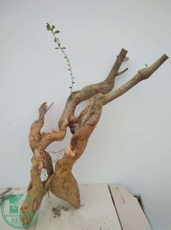 QQͼƬ20150322173608.jpg
