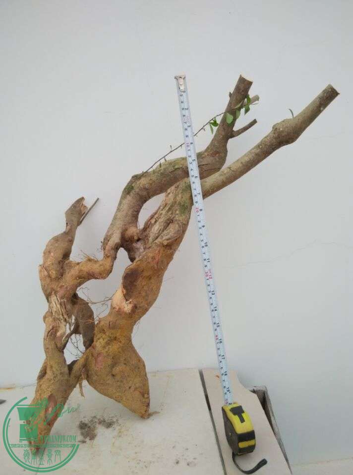 QQͼƬ20150322173700.jpg