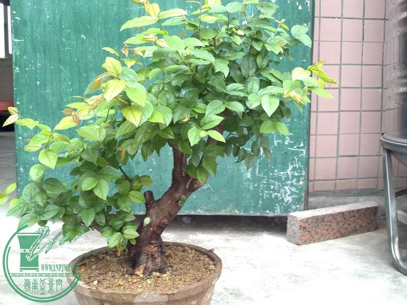 2015-03-22_17-06-29_225_www.moumu.com.jpg