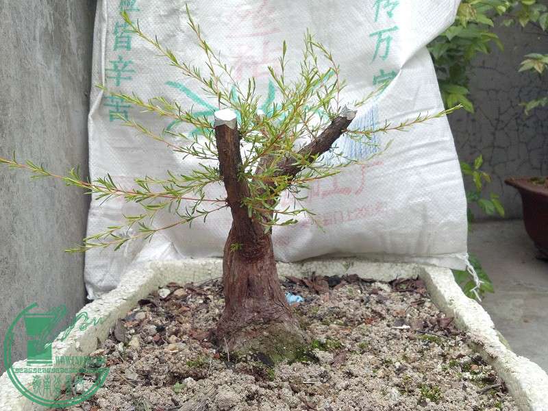 2015-03-22_16-46-48_478_www.moumu.com.jpg