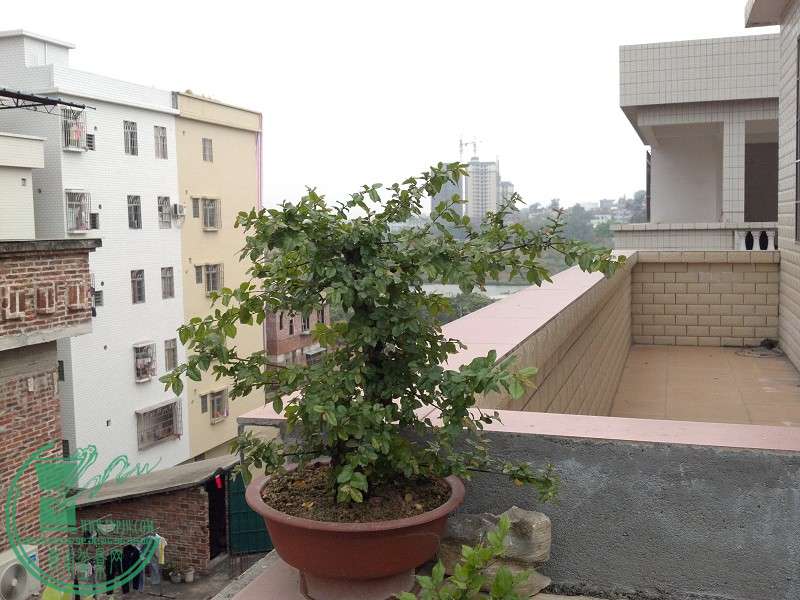 2015-03-22_17-03-52_629_www.moumu.com.jpg