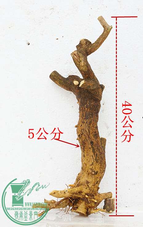 DSC00133_2.jpg
