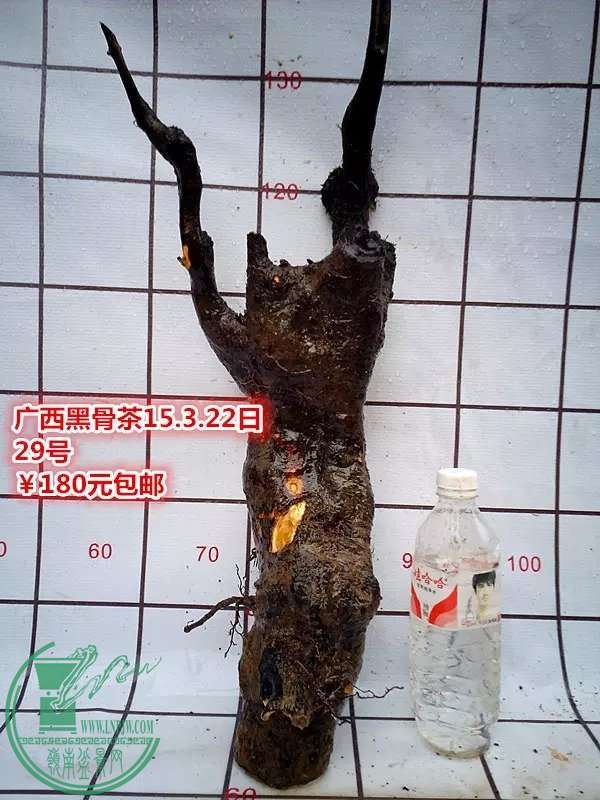 psb (72).jpg