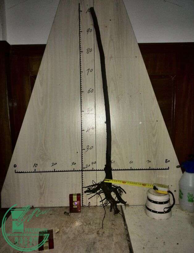 1180Ԫ