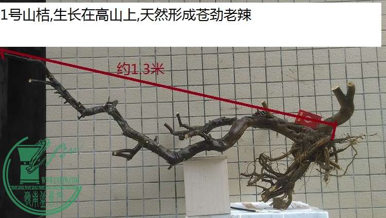 QQͼƬ20150322191235.jpg