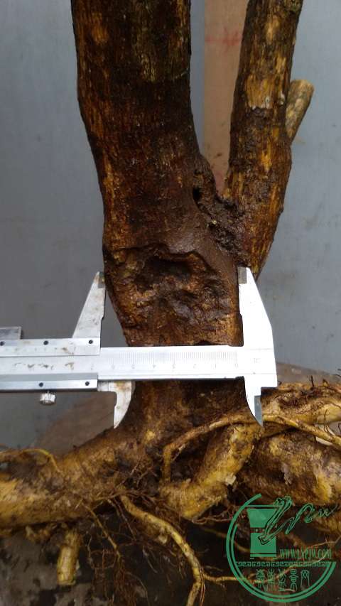 20150323_152409.jpg