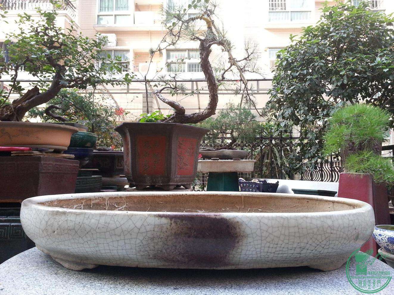 QQͼƬ20150119104324.jpg