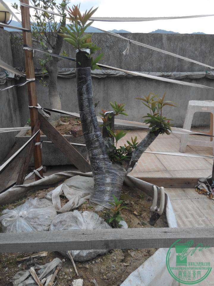 rps20150324_174402.jpg