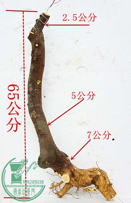 DSC00143_2.jpg