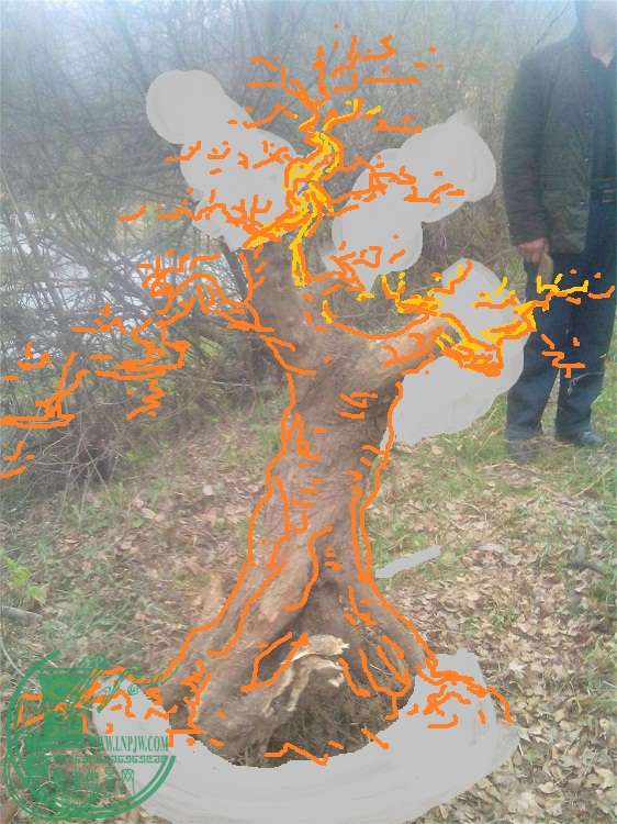 202109ta3nvfavv3f4ada8_jpg_thumb.jpg