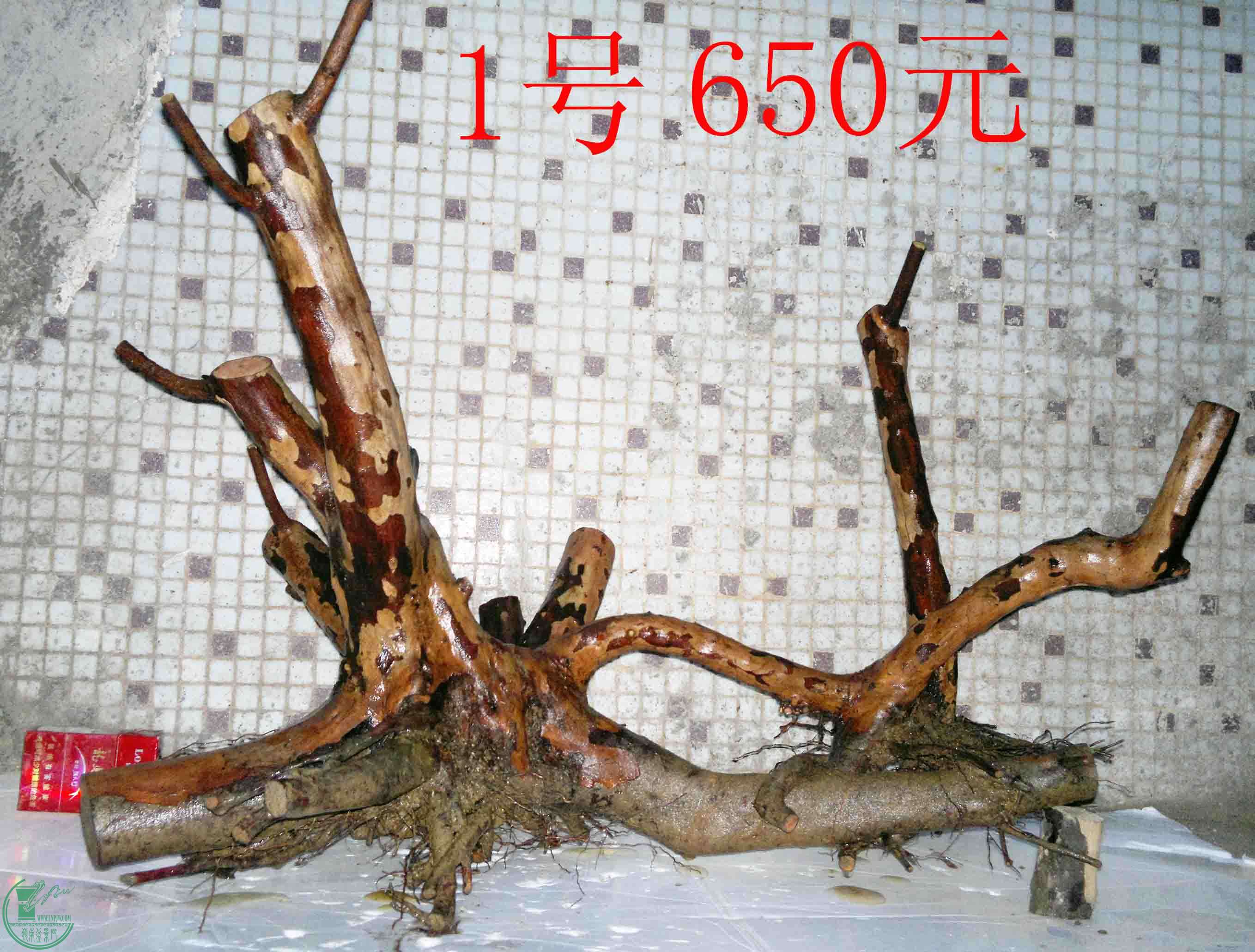 201503264123.jpg