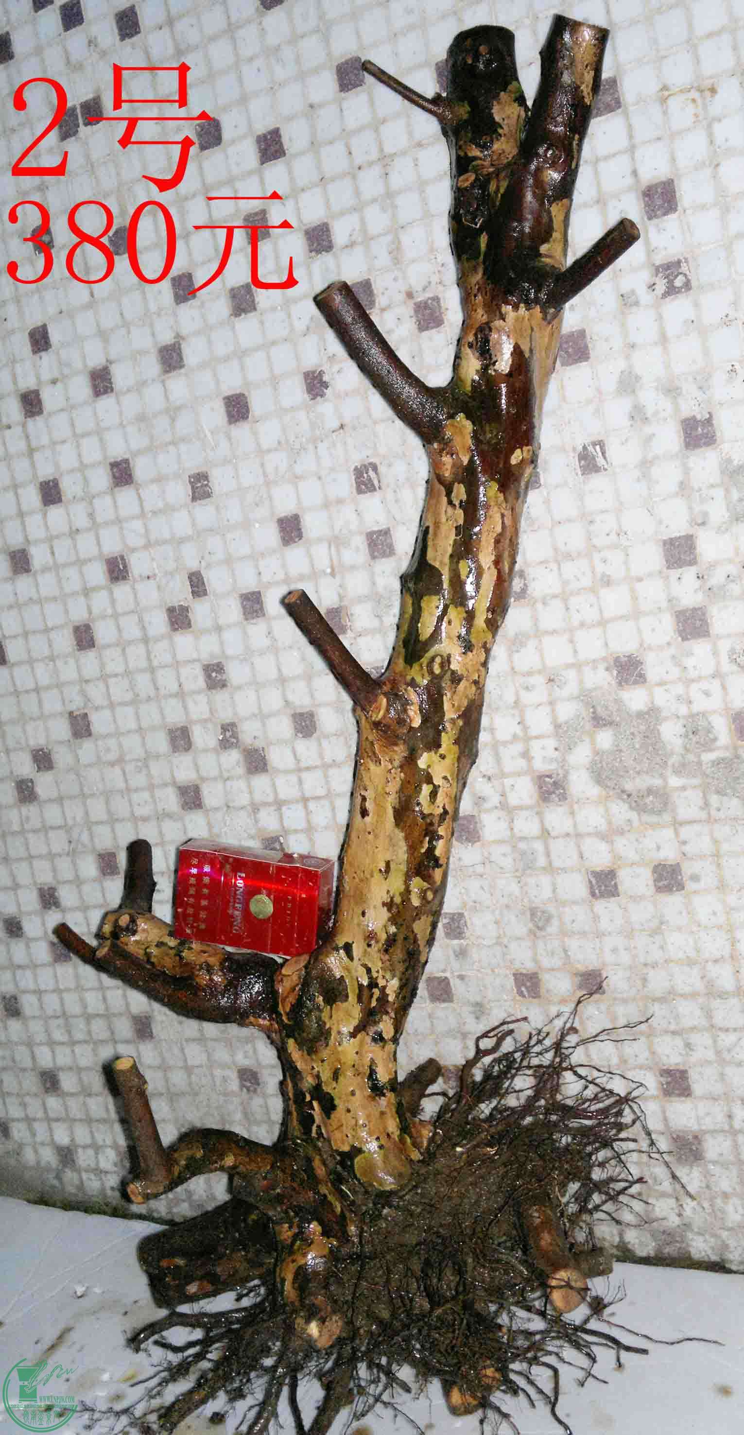 201503264137.jpg